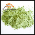 Organic wheat grass powder wheatgrass juice powder wheatgrass extract